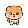 Pompi Dog 25