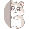 Hamster Little Oocha 倉鼠小茶 24