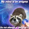 Being Raccoon Ep.2 16