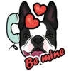 Hugo 13