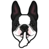 Hugo 14