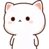 MOCHICAT#1 MOV 21