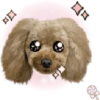 Dog expressions 26