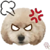 Dog expressions 27