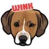 WINK