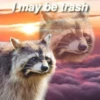 Being Raccoon Ep.2 18
