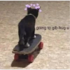 going to gib hug u