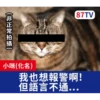 受訪的貓星人P.2/P.2 20