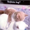 *infinite hug*