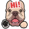 Hi!