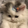 Meow meow | Pikachu！ (part 5) 5