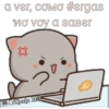 a ver, como #ergas
ио voy a saber
14Cheche XX