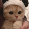 Meow meow | Pikachu！ (part 4) 6