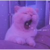 Meow meow (part 1) 9
