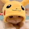 Meow meow | Pikachu！ (part 6) 7