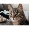 Meow meow | Pikachu！(part 11) 6