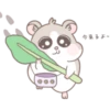 今来るよ~