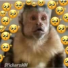Memes Del Monito 8