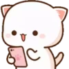 MOCHICAT#2 MOV 6