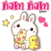 Conejito & Patito  kawaii 10