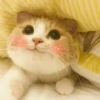 Meow meow | Pikachu (part 3) 7