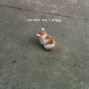 Meow meow | Pikachu! (part 9) 10