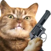 Gatos y Cats 9