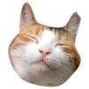 Kali Potato 5
