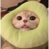 Meow meow | Pikachu！ (part 4) 9