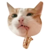 Kali Potato 6