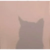 Meow meow | Pikachu (part 2) 9