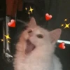 Meow meow | Pikachu! (part 8) 10