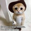 Meow meow | Pikachu! (part 8) 11