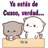 Ya estás de
Cusco, verdad...
Chach
ub