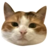 Kali Potato 7