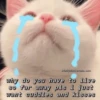 Meow meow | Pikachu! (part 9) 12