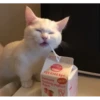 A 华
드링킹 요구르트 복숭아
Denmark NEW
Drinking yoghurt
Peach