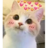 Meow meow | Pikachu (part 3) 9