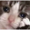 kitty♡︎sad 11