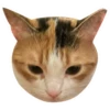 Kali Potato 8