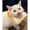 Meow meow | Pikachu (part 2) 10