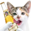 LIFE
ASTO1908
TMILMA
muller
HIGH LIFE
Dampagne of Beres
EST 1903
HIGH