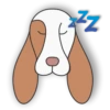 ZZ