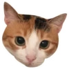 Kali Potato 10