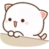 MOCHICAT#8 MOV 7