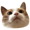 Kali Potato 11