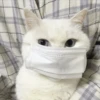 Meow meow | Pikachu! (part 10) 10