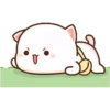 MOCHICAT#8 MOV 8