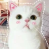 Meow meow | Pikachu (part 3) 10