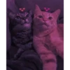 Meow meow (part 1) 18